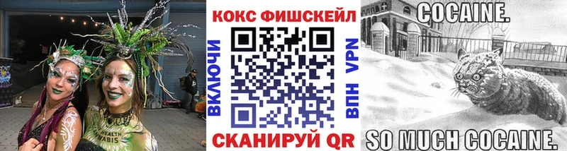 площадка наркотические препараты  Гатчина  КОКАИН Эквадор  дарнет шоп 