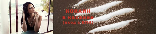 гашик Верея