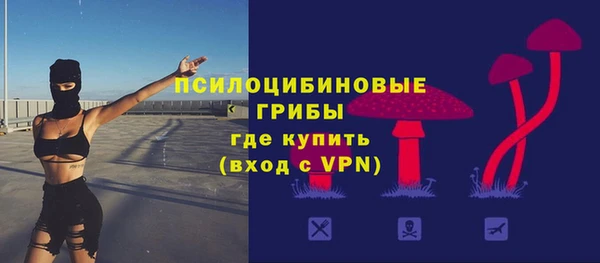 гашик Верея