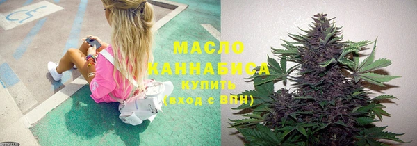 гашик Верея
